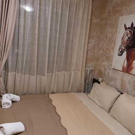 Apartament-Damo بامبوروفو المظهر الخارجي الصورة
