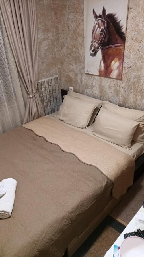 Apartament-Damo بامبوروفو المظهر الخارجي الصورة