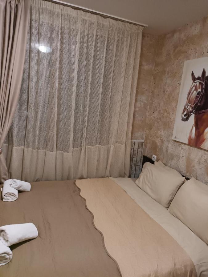 Apartament-Damo بامبوروفو المظهر الخارجي الصورة
