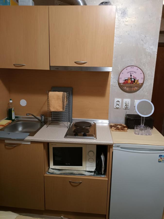 Apartament-Damo بامبوروفو المظهر الخارجي الصورة